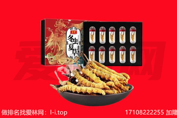 绍兴回收虫草.jpg